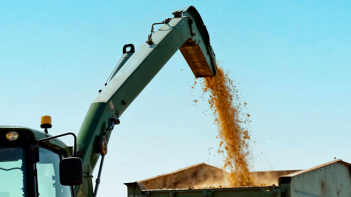 Desentendimento por colheita de soja termina na delegacia em Arapuã