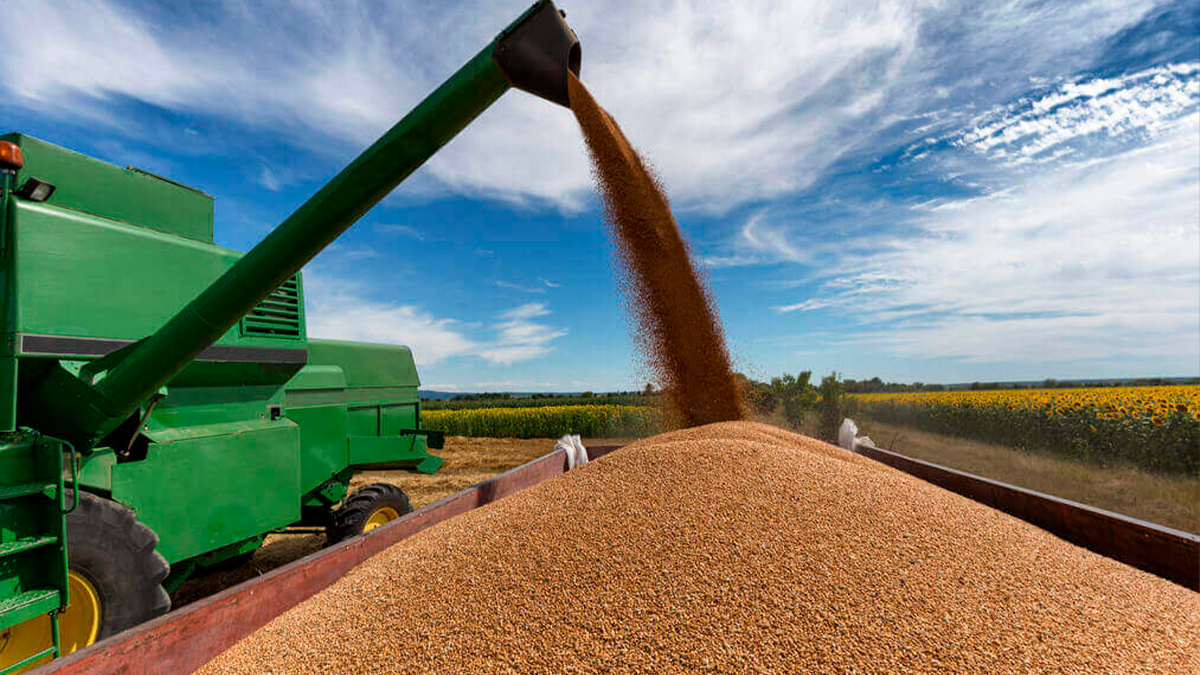 Redução da jornada de trabalho pode elevar custos do agronegócio em até 8,6%