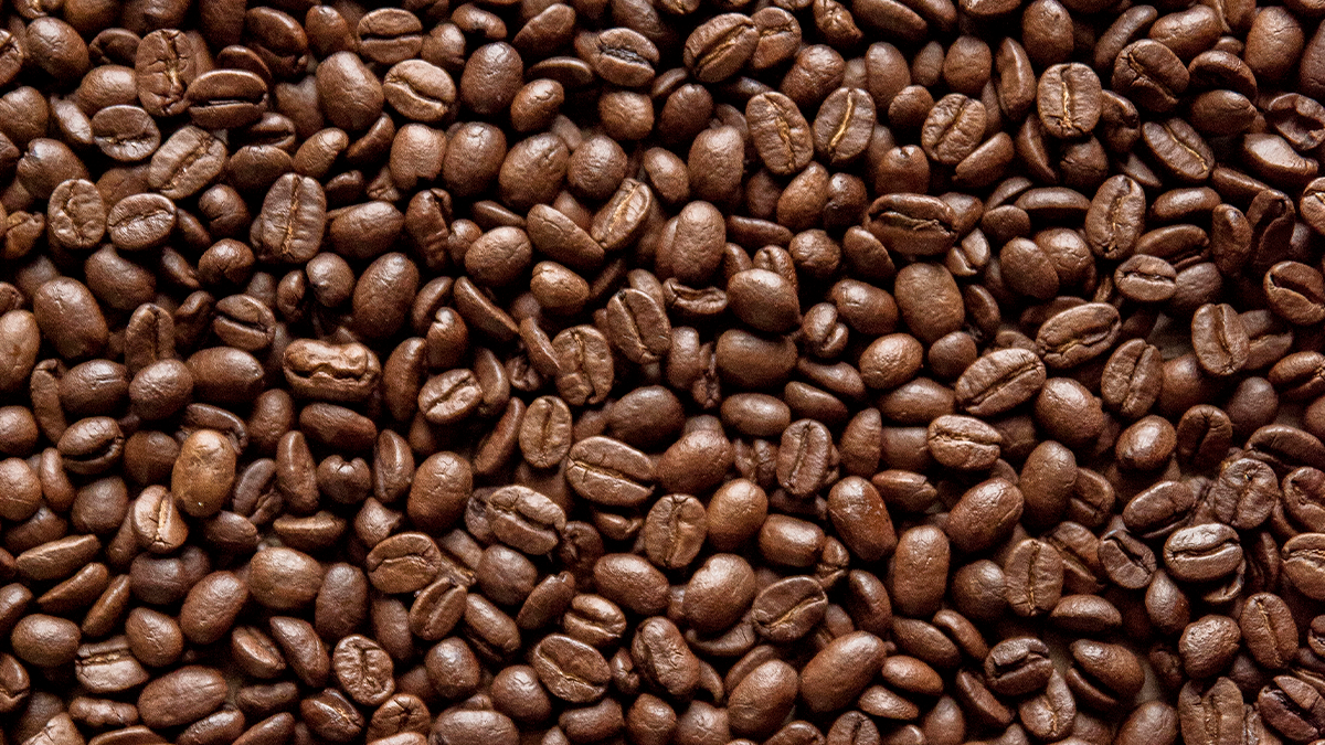 Safra de café em 2026 deve superar expectativas no sudoeste da Bahia