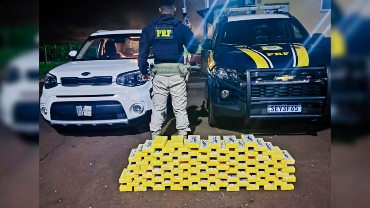PRF apreende quase 100 kg de cocaína na BR-277 e causa prejuízo de R$ 7,4 milhões ao tráfico
