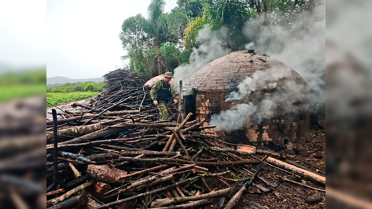 Ação da Polícia Ambiental flagra produção ilegal de carvão em Inácio Martins
