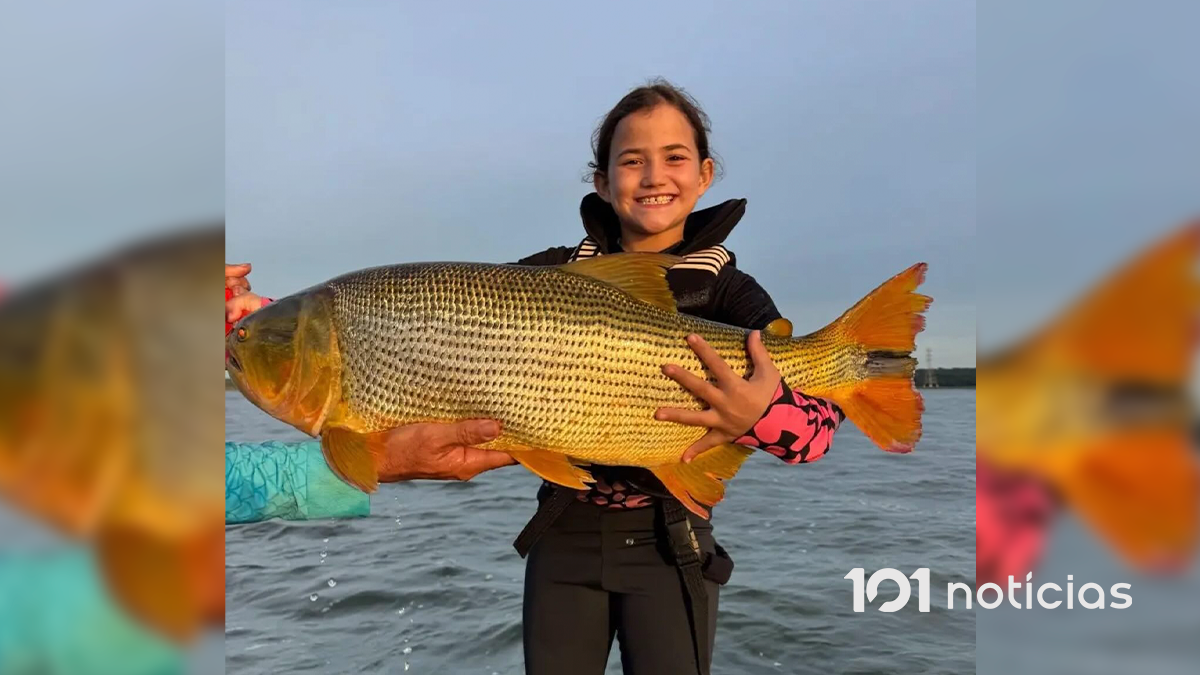 Criança de 7 anos quebra recorde brasileiro ao pescar dourado gigante no Rio Paraná