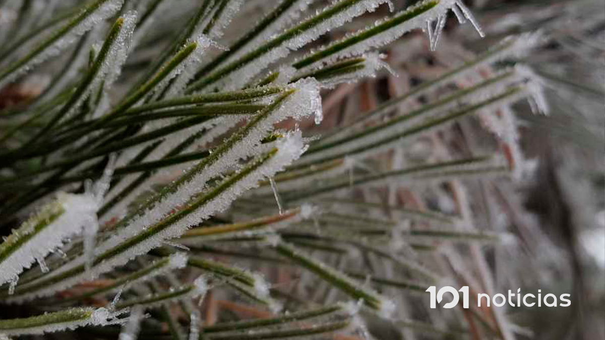 Forte onda de frio traz marcas negativas e geada generalizada no Paraná