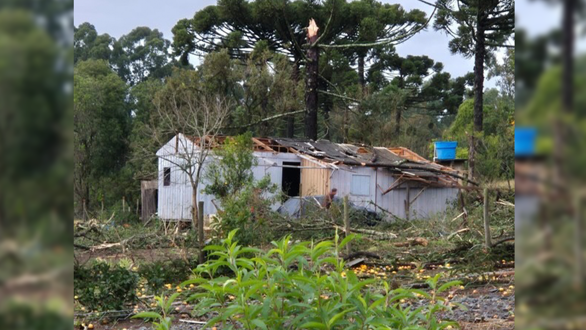 Observatório da UEPG confirma passagem de tornado de categoria EF2 em Reserva