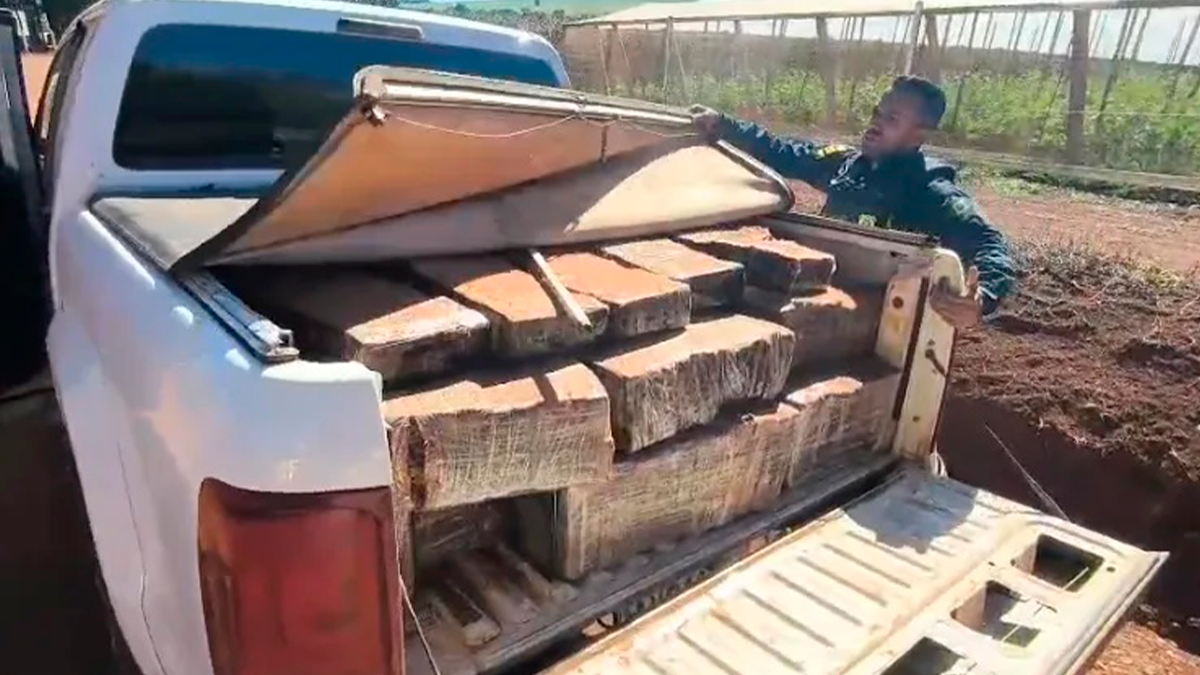 PRF apreende quase uma tonelada de maconha e recupera caminhonete furtada em Faxinal
