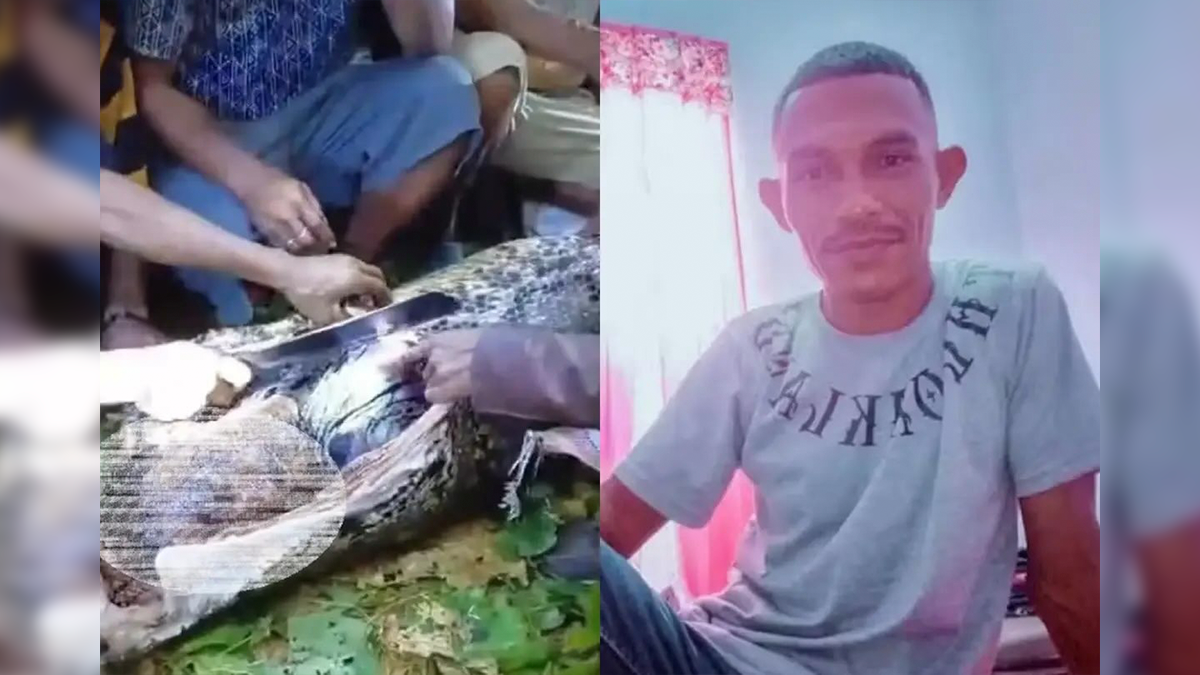 Homem morre após ser engolido por cobra píton de sete metros na Indonésia