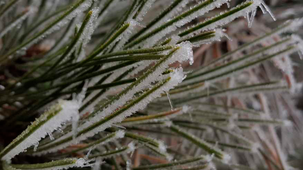 Massa de ar frio deve provocar geada e queda acentuada nas temperaturas no Paraná