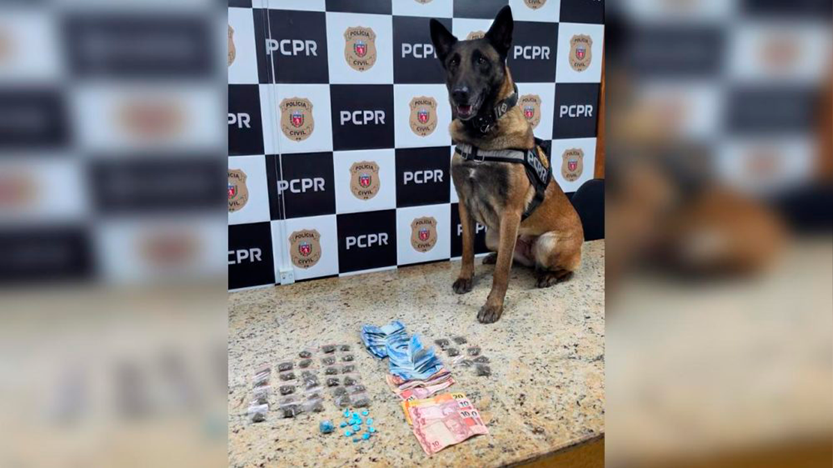 PCPR prende três homens e apreende drogas durante cumprimento de mandados em Curitiba