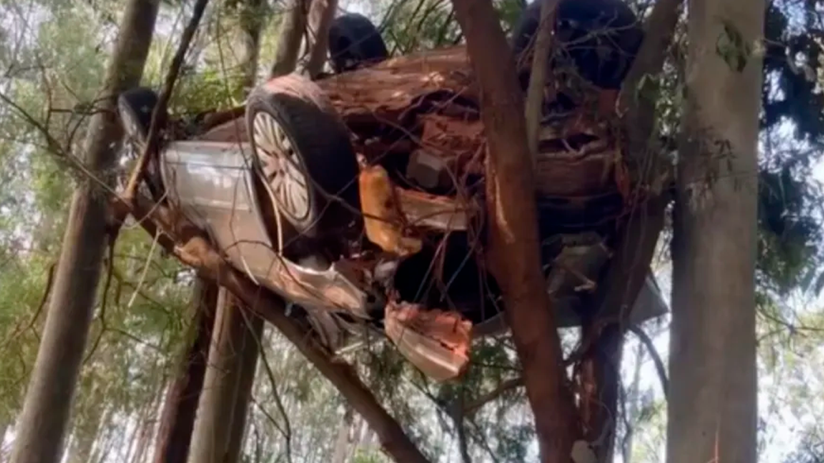 Carro fica preso em árvore após sair da pista na PR-542 em Colorado