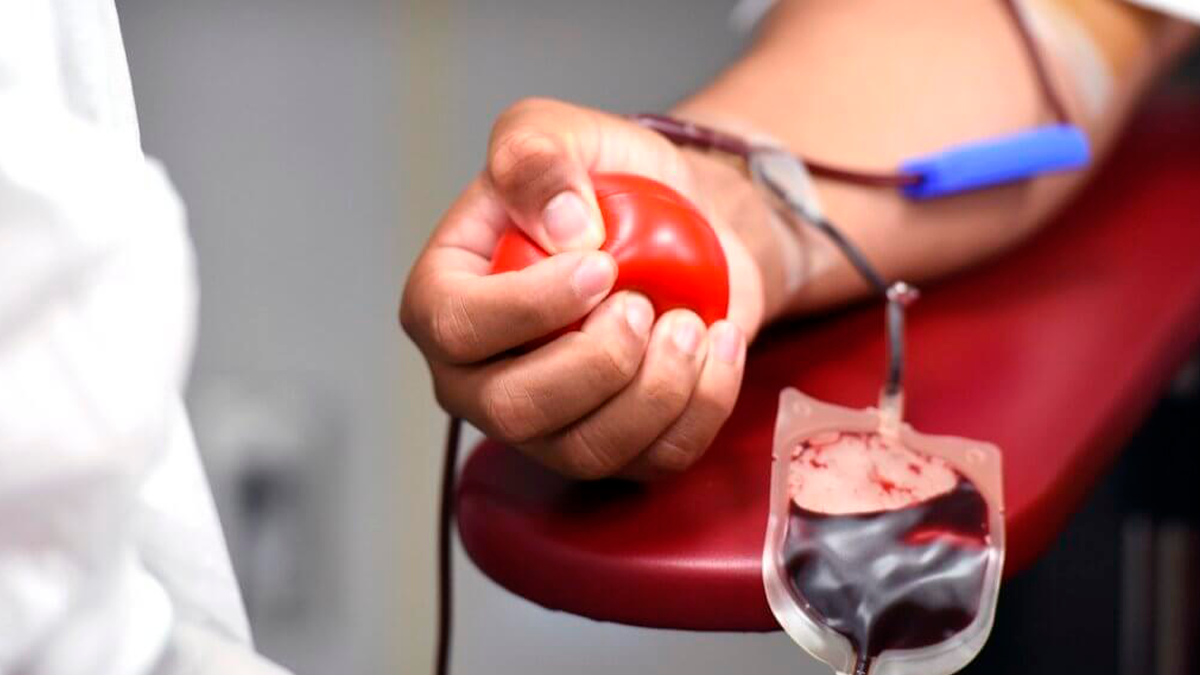 Ministério da Saúde altera regras para doação de sangue no Brasil