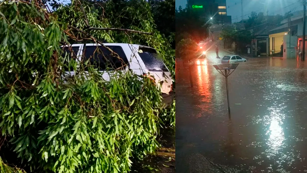 Temporal causa estragos, alagamentos e queda de árvores em municípios do Vale do Ivaí