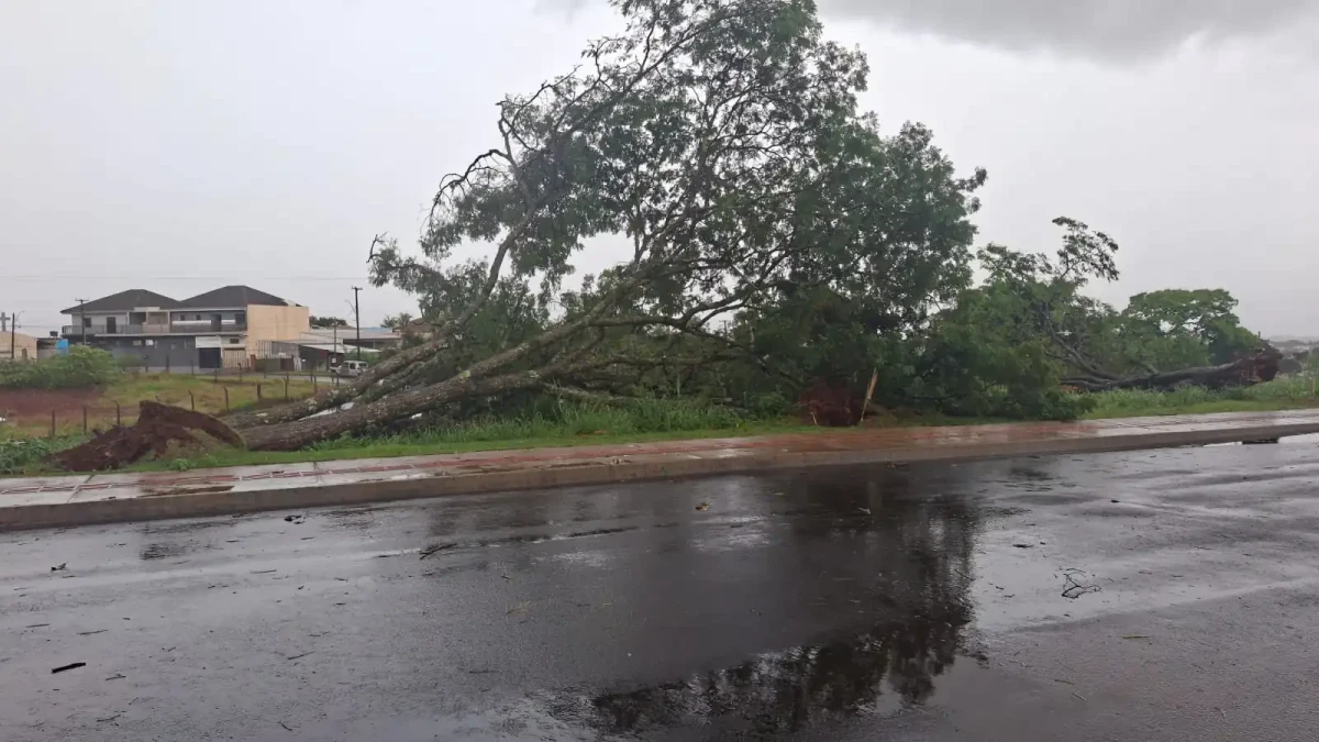 Forte vendaval com suspeita de tornado causa destelhamentos e estragos em Ivaiporã e Arapuã