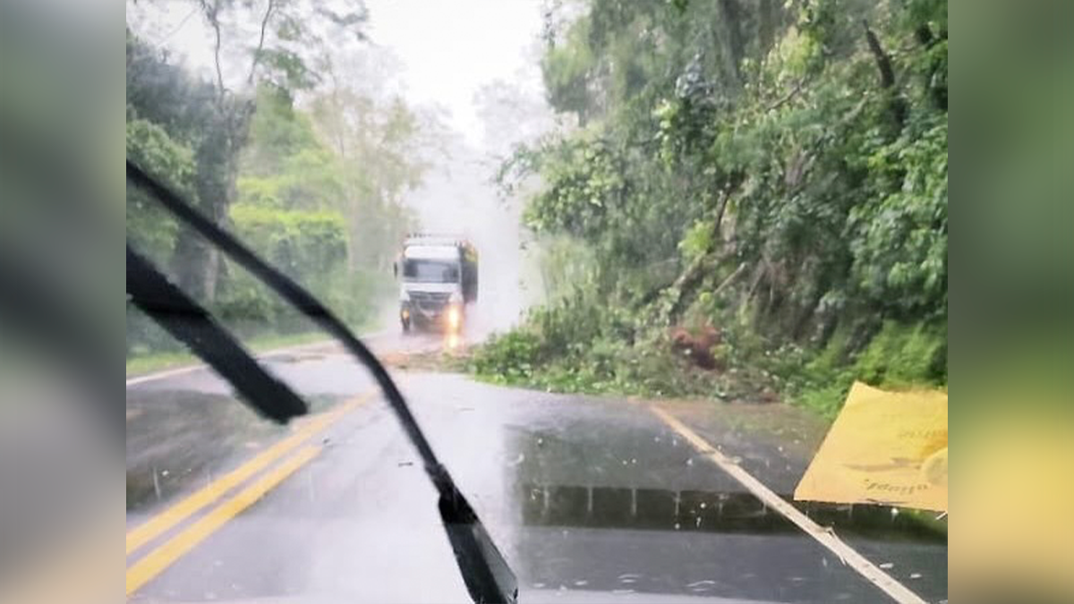Deslizamento de terra deixa meia pista interditada na PR-487 entre Cândido de Abreu e Manoel Ribas