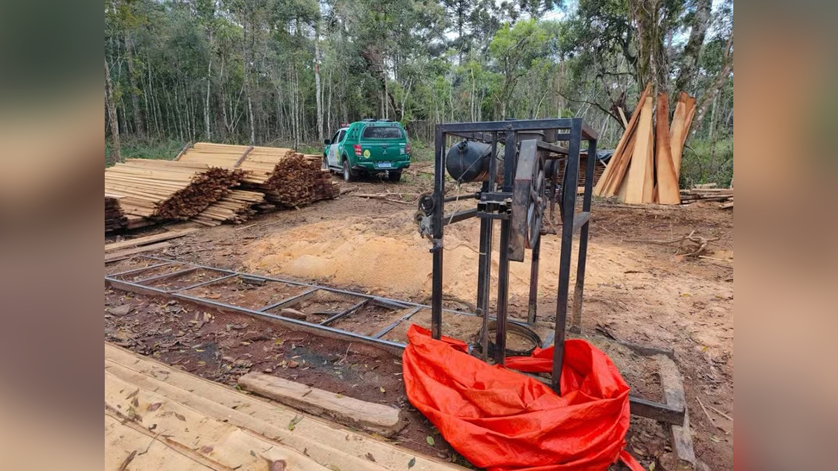 Serraria ilegal é flagrada com madeira de espécies ameaçadas e dono é multado em R$ 70 mil nos Campos Gerais